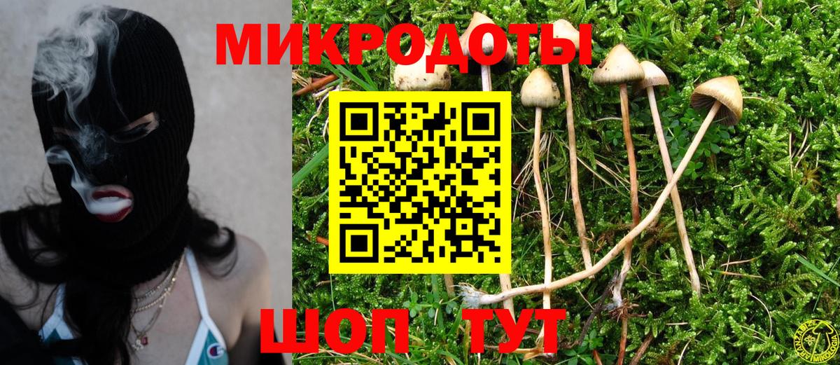 Димитровград  Псилоцибиновые грибы Psilocybine cubensis  Вход с VPN 